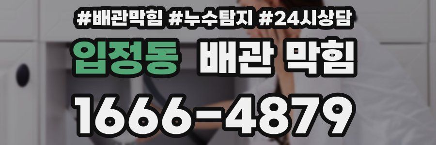 입정동 배관 막힘