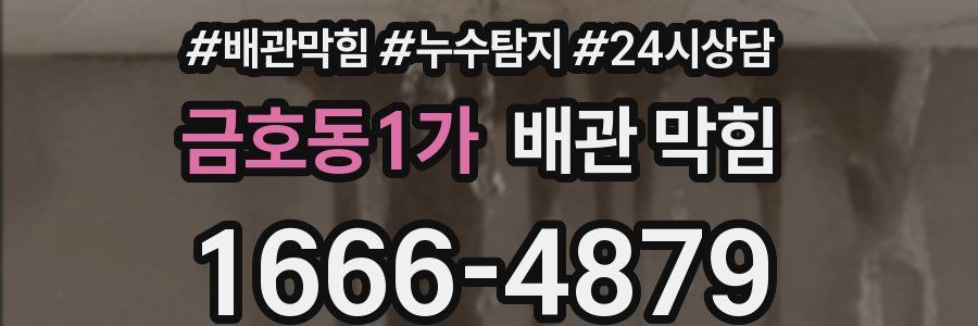 금호동1가 배관 막힘