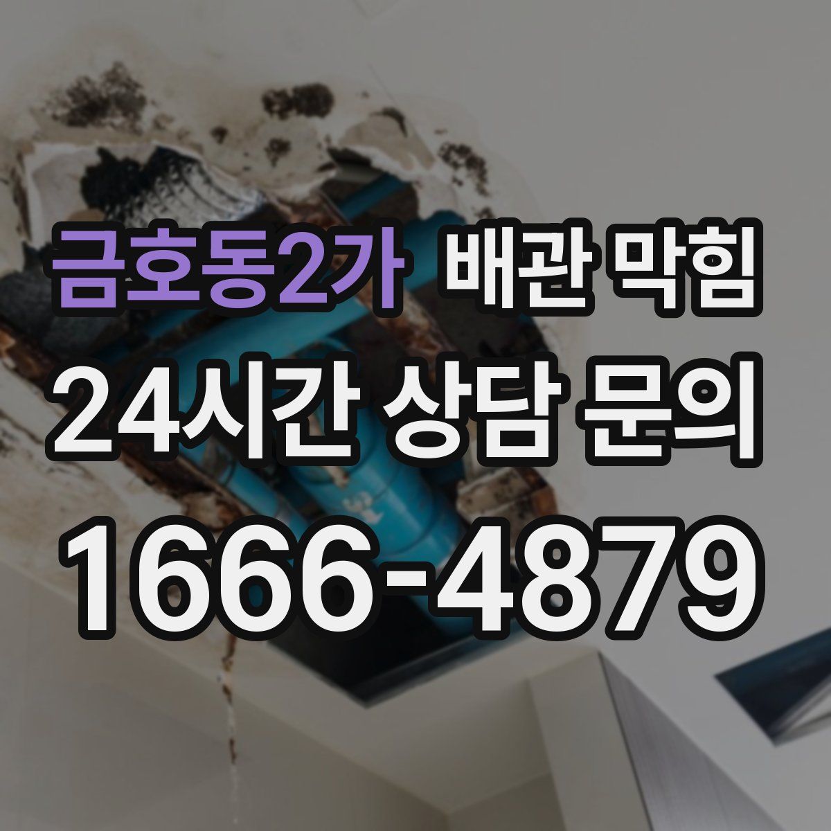 금호동2가 배관 막힘