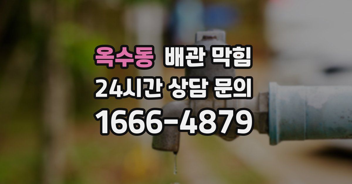 옥수동 배관 막힘