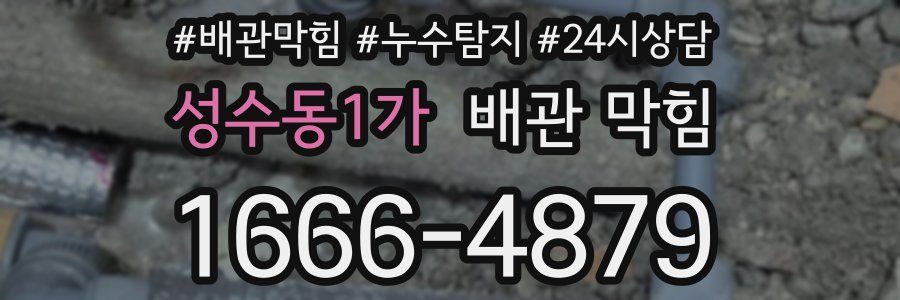 성수동1가 배관 막힘