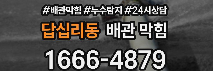 답십리동 배관 막힘