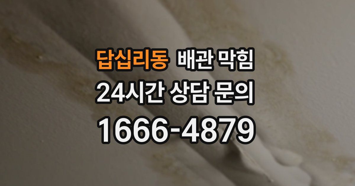 답십리동 배관 막힘