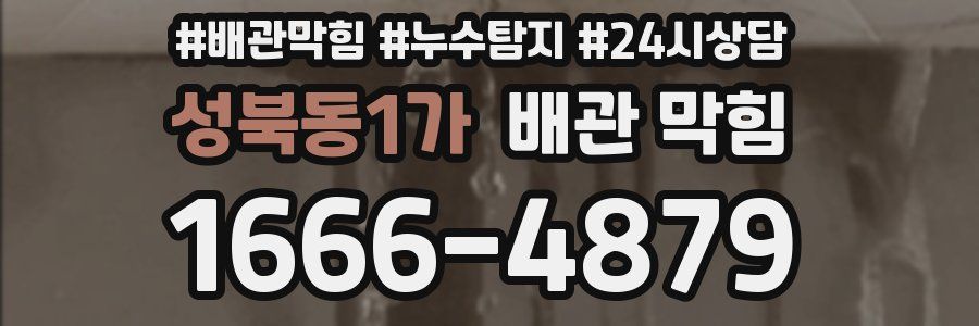 성북동1가 배관 막힘