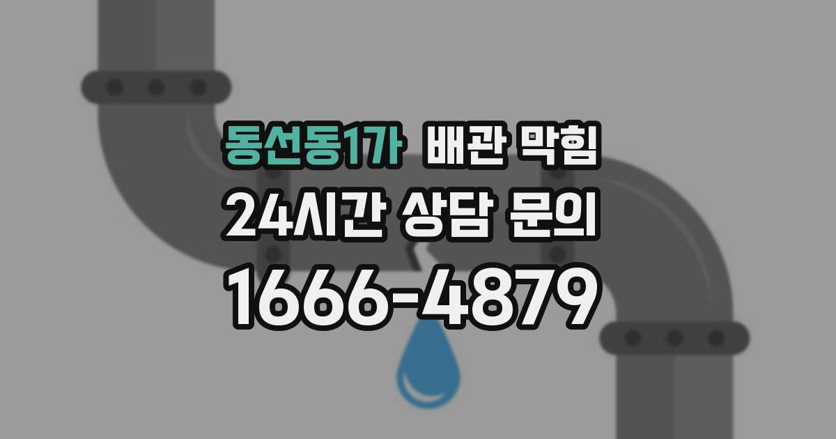 동선동1가 배관 막힘