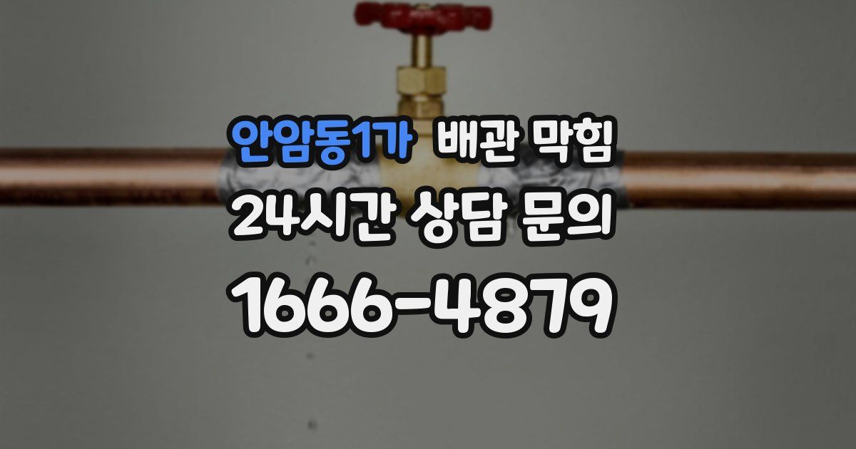 안암동1가 배관 막힘