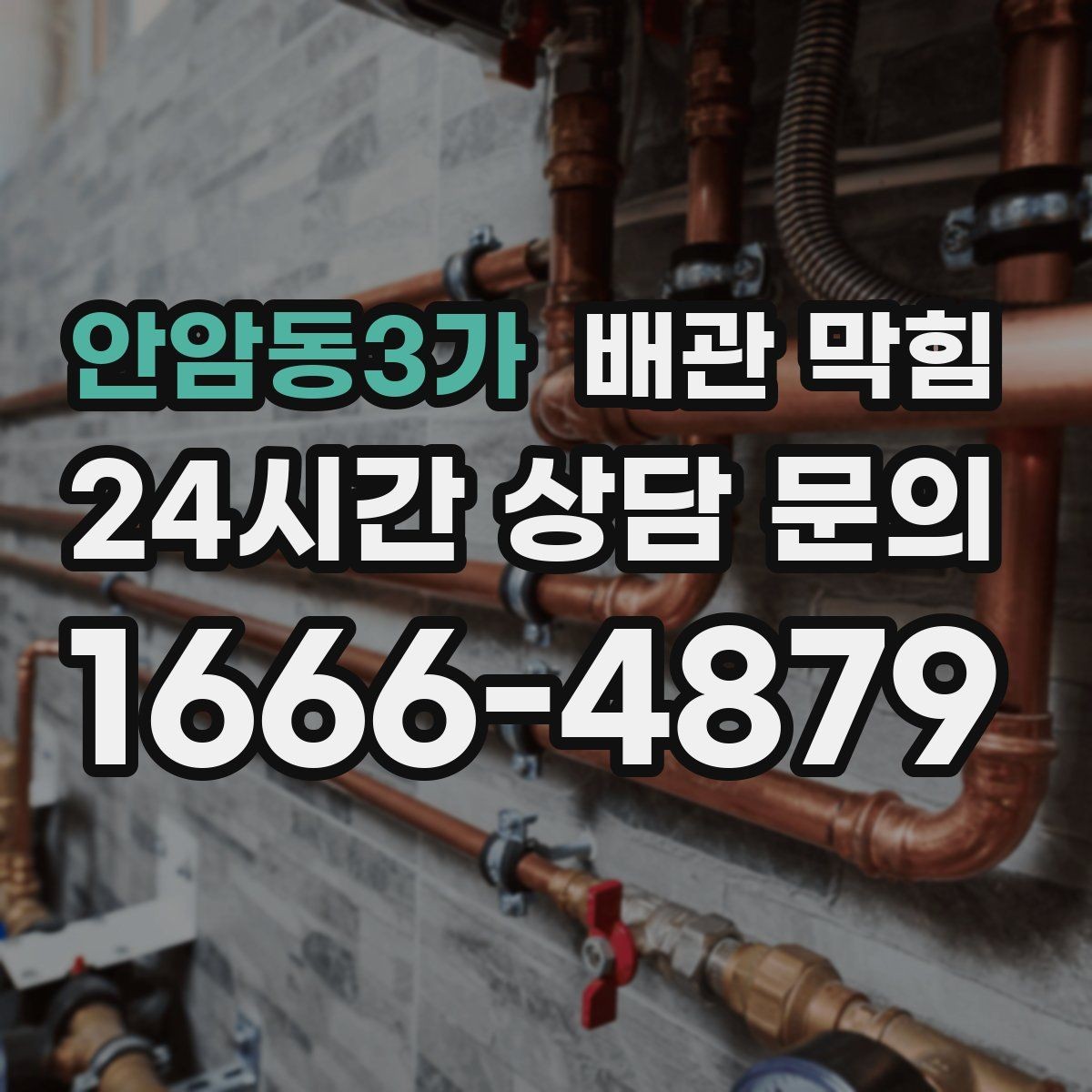 안암동3가 배관 막힘 트랩 청소만으로 해결되는 간단한 케이스