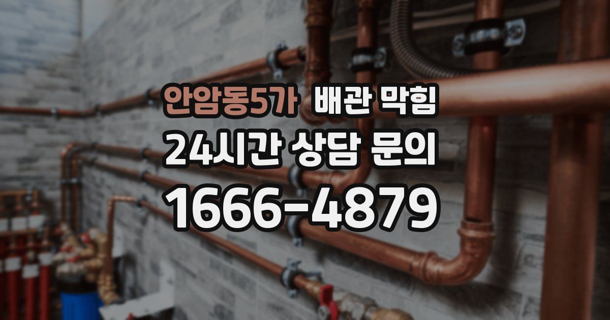 안암동5가 배관 막힘