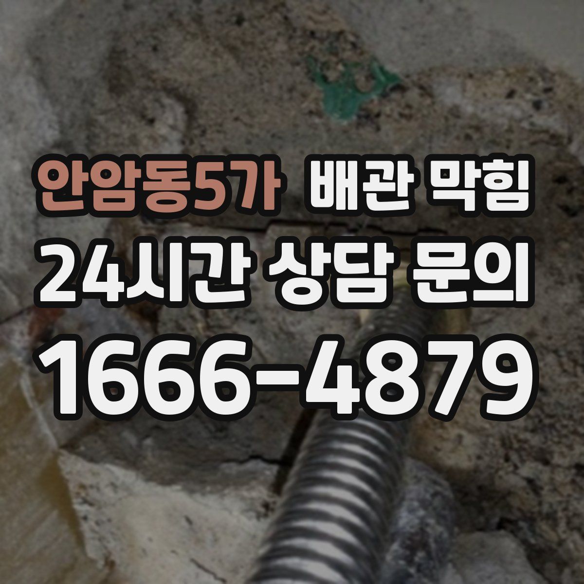 안암동5가 배관 막힘