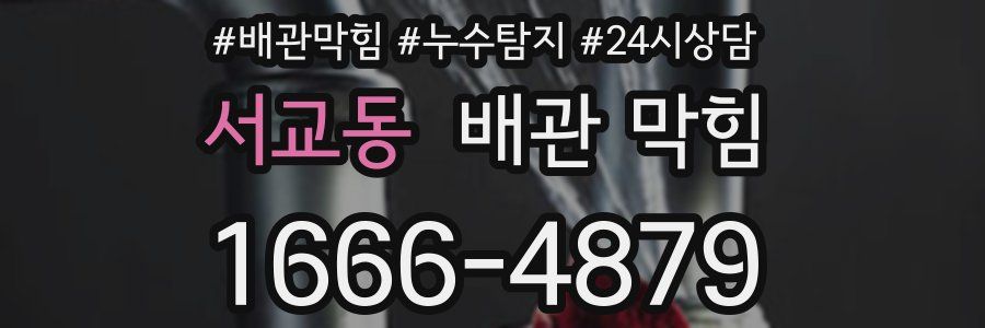 서교동 배관 막힘