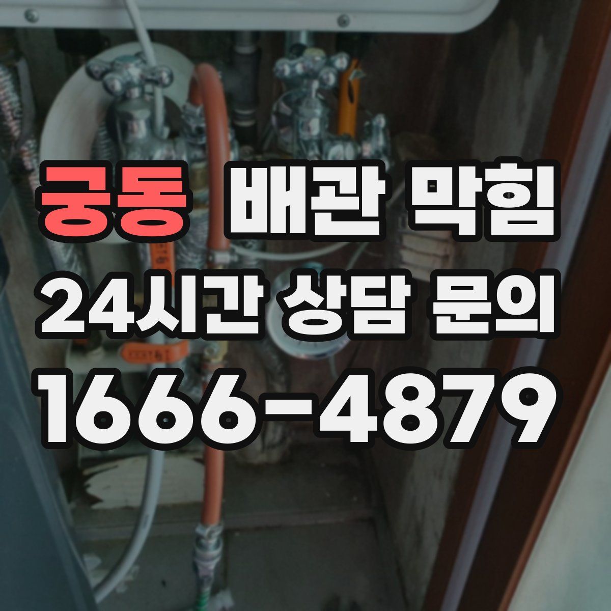 궁동 배관 막힘