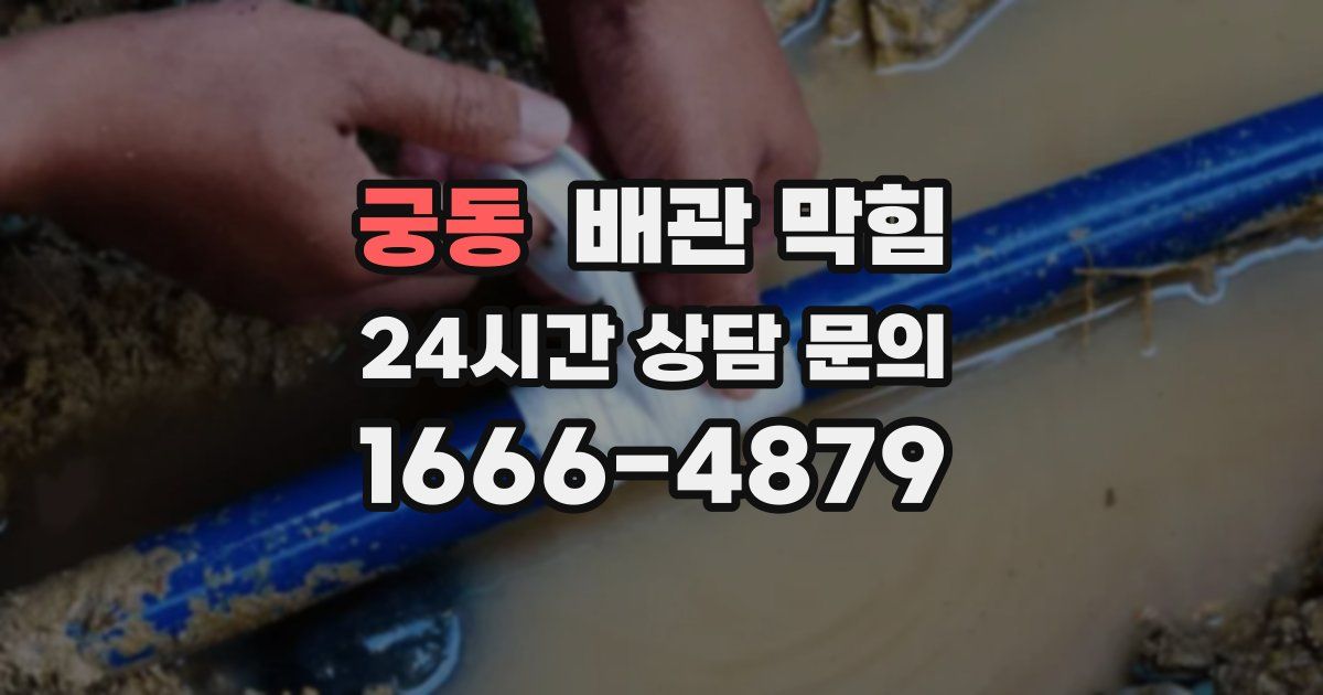 궁동 배관 막힘