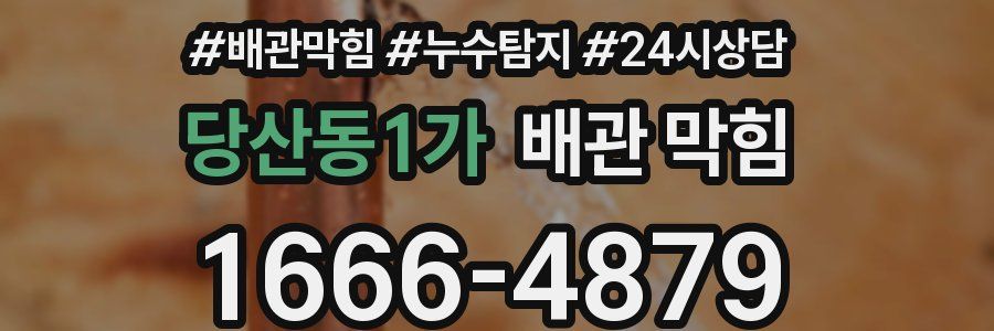 당산동1가 배관 막힘