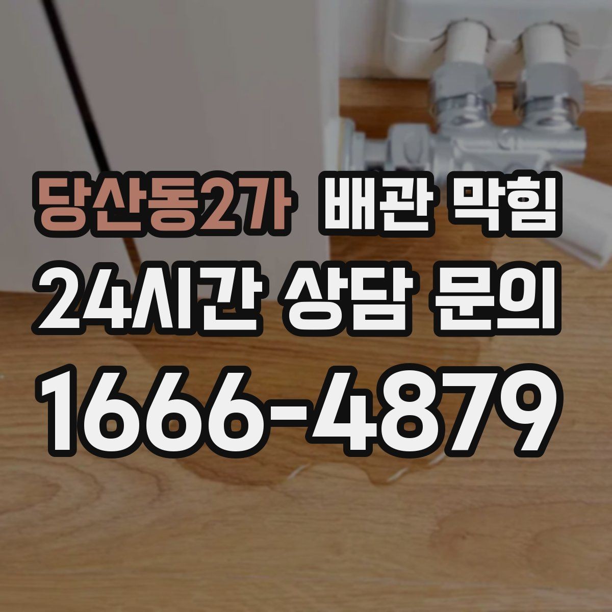 당산동2가 배관 막힘 트랩 청소만으로 해결되는 간단한 케이스