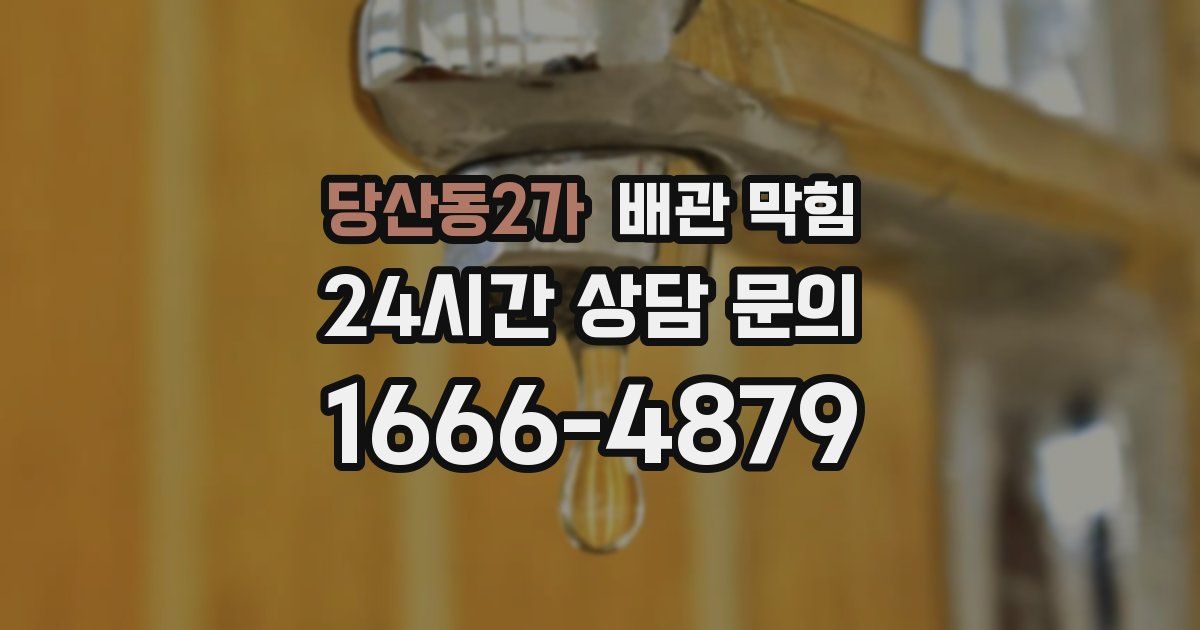 당산동2가 배관 막힘