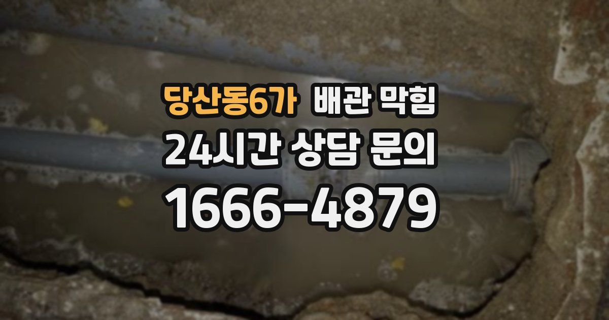 당산동6가 배관 막힘