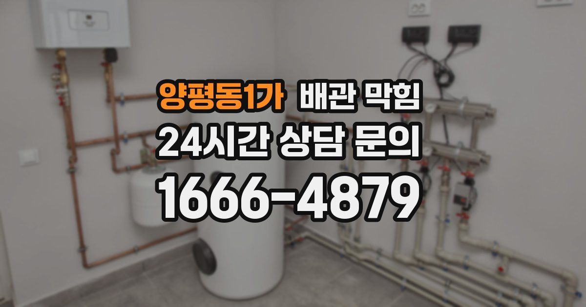 양평동1가 배관 막힘