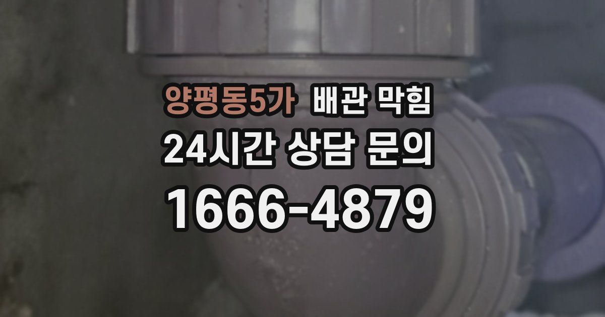 양평동5가 배관 막힘