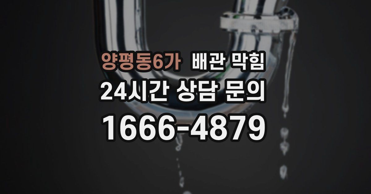 양평동6가 배관 막힘