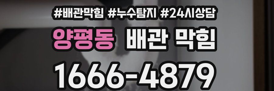 양평동 배관 막힘