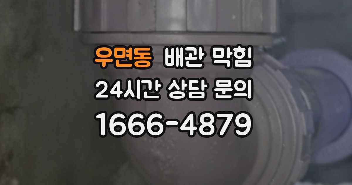 우면동 배관 막힘