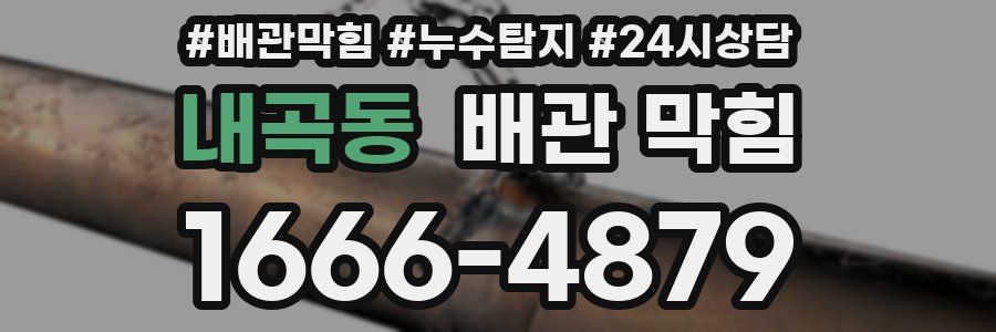 내곡동 배관 막힘