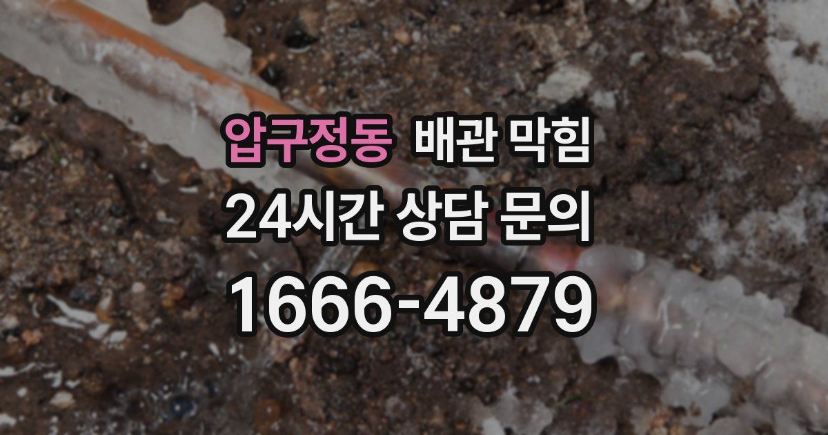 압구정동 배관 막힘