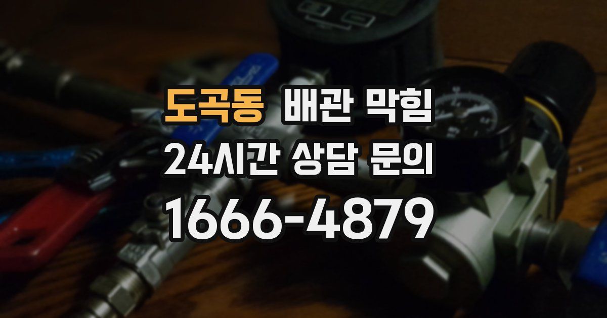 도곡동 배관 막힘