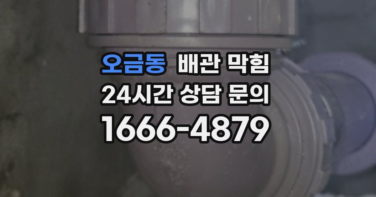 오금동 배관 막힘