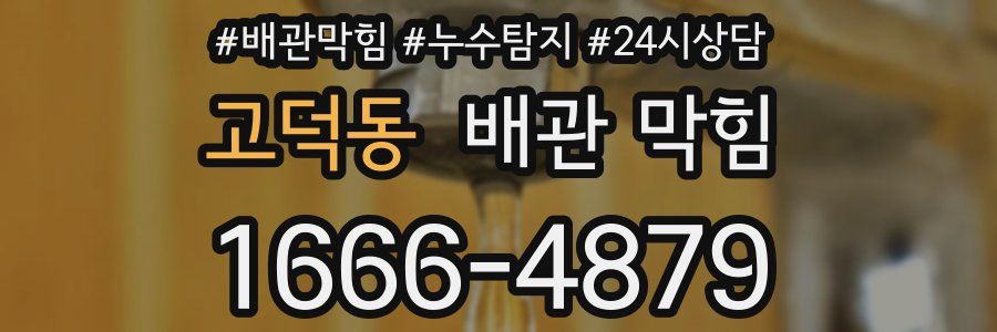 고덕동 배관 막힘