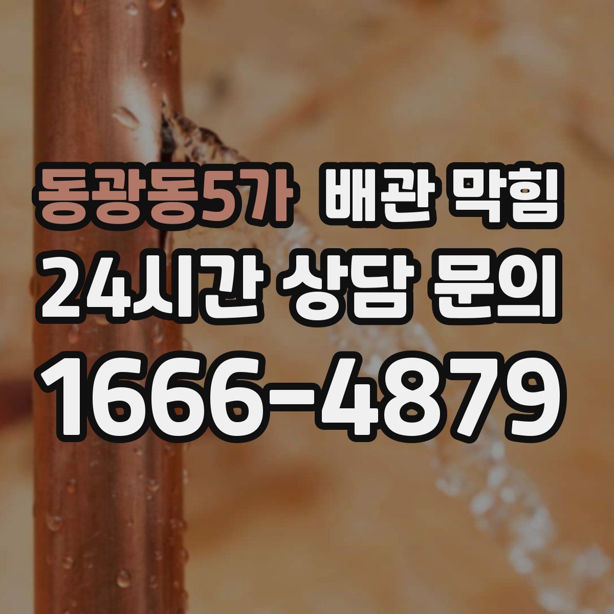 동광동5가 배관 막힘