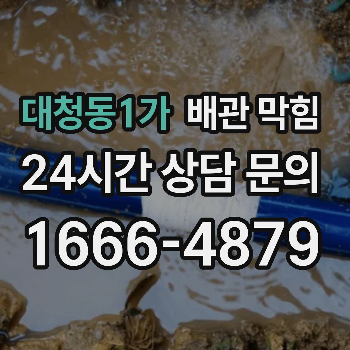 대청동1가 배관 막힘 물은 잘 내려가는데 냄새만 날 때 원인