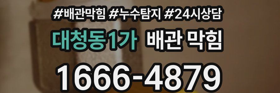 대청동1가 배관 막힘