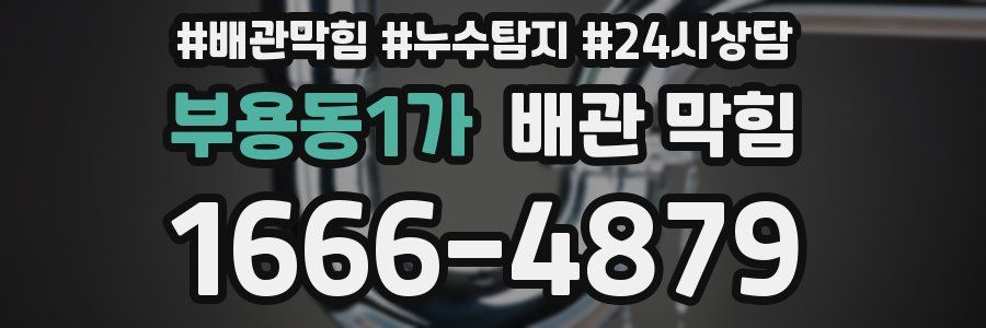 부용동1가 배관 막힘