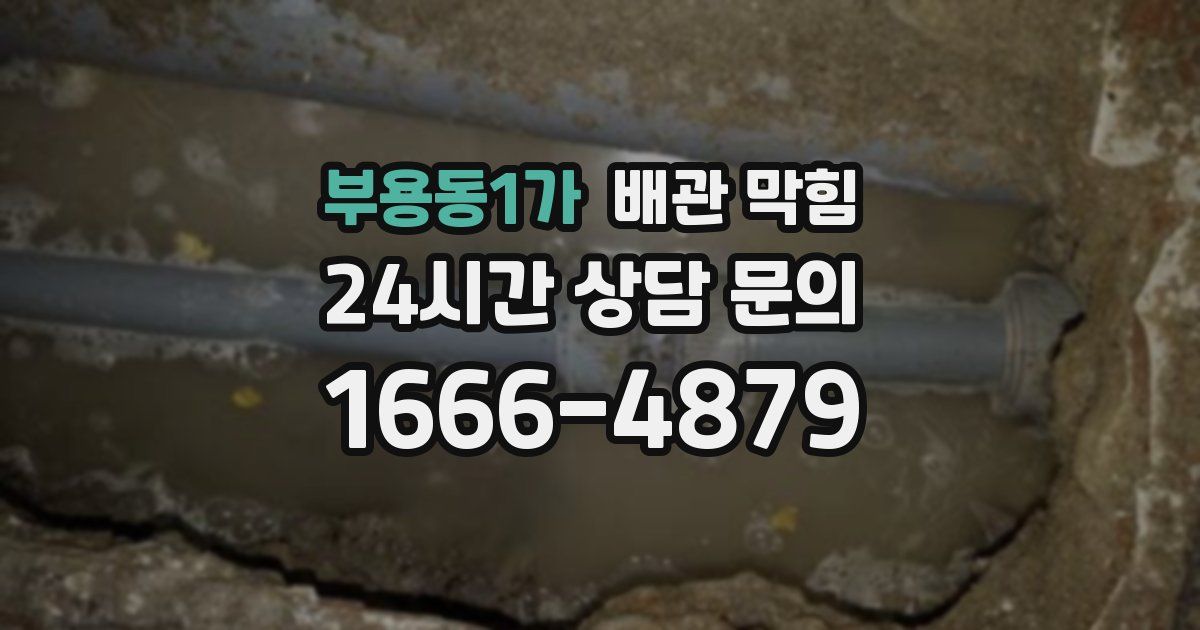 부용동1가 배관 막힘
