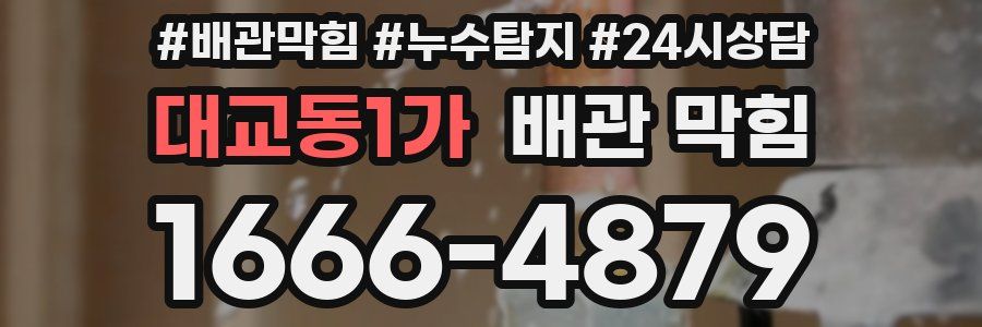 대교동1가 배관 막힘