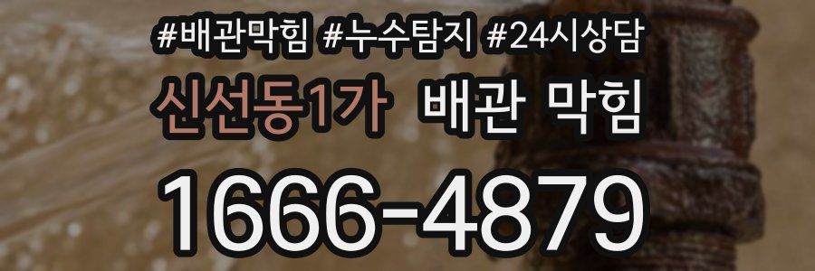 신선동1가 배관 막힘
