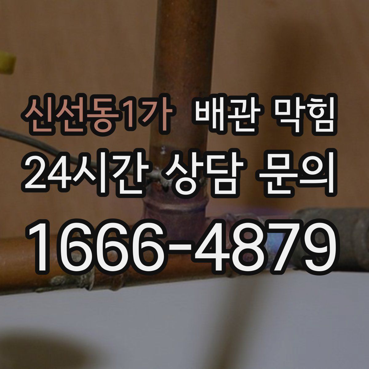신선동1가 배관 막힘