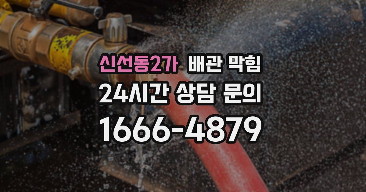 신선동2가 배관 막힘