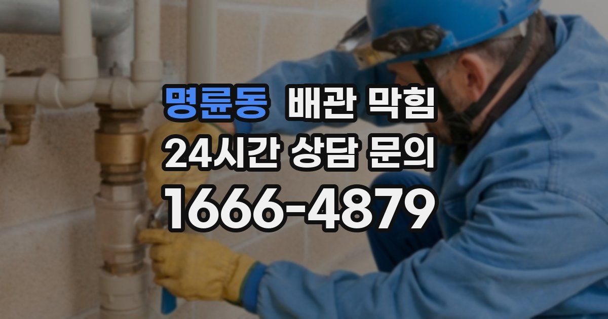 명륜동 배관 막힘