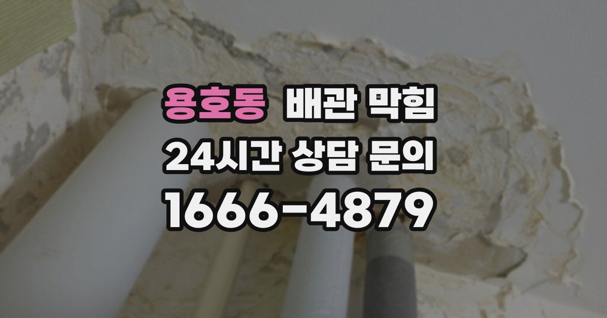 용호동 배관 막힘