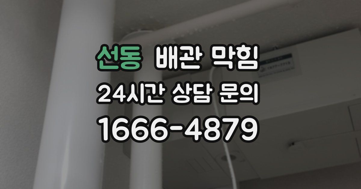 선동 배관 막힘