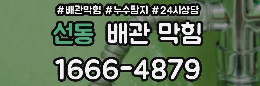 선동 배관 막힘