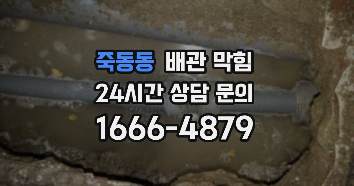 죽동동 배관 막힘