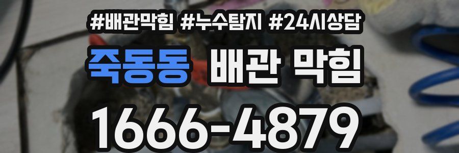 죽동동 배관 막힘