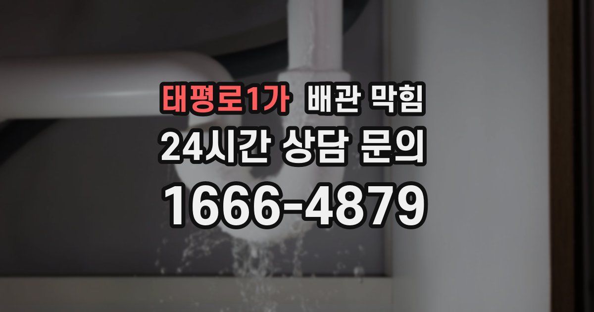 태평로1가 배관 막힘