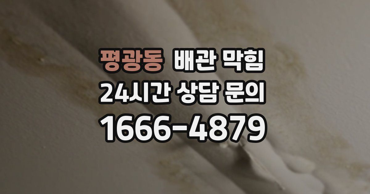 평광동 배관 막힘