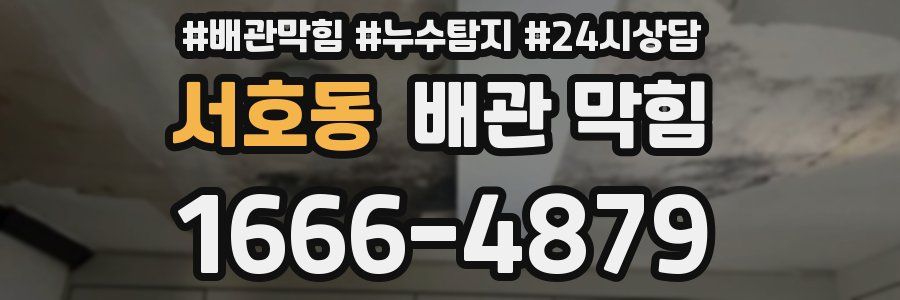 서호동 배관 막힘