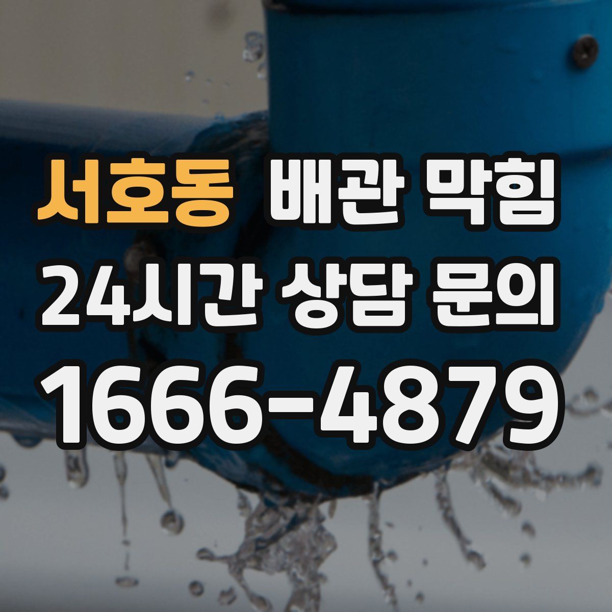 서호동 배관 막힘