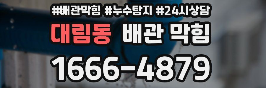 대림동 배관 막힘